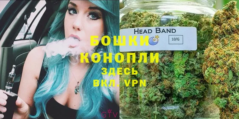 Бошки марихуана OG Kush  где купить наркоту  Гаврилов-Ям 